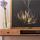 close up desk / work station